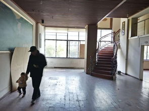 建筑材料概览 从传统到现代的演变与选择