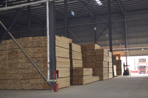 郑州建材模板市场再迎巨擘，华丰·荣俊模板中心璀璨开业