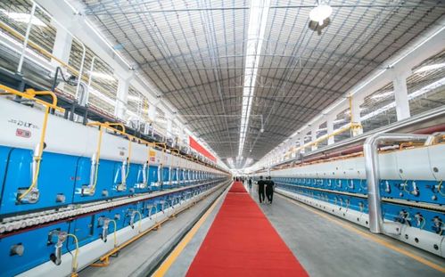 新岩素荣耀入选广东省首批绿色建材下乡产品目录，引领建筑材料绿色发展新篇章