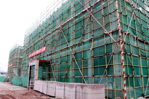 喜讯！龙马潭大型建材产业物流港建设迎来新进展